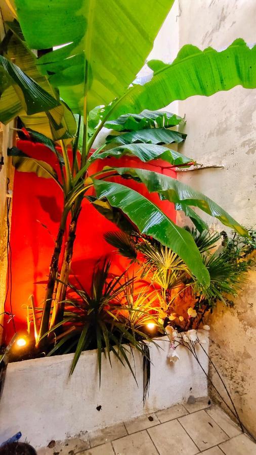 Votre Escale Jungle Sauna & Spa Niort Eksteriør bilde